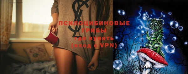 бошки Корсаков